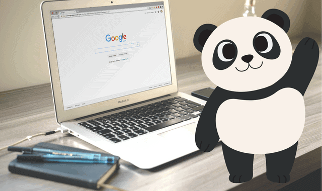 Everything About Google Panda Update Algorithm